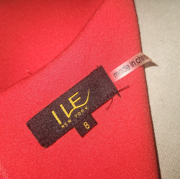 Elegant Redish Orange Work Dress Size 8 - Picture 6 of 10